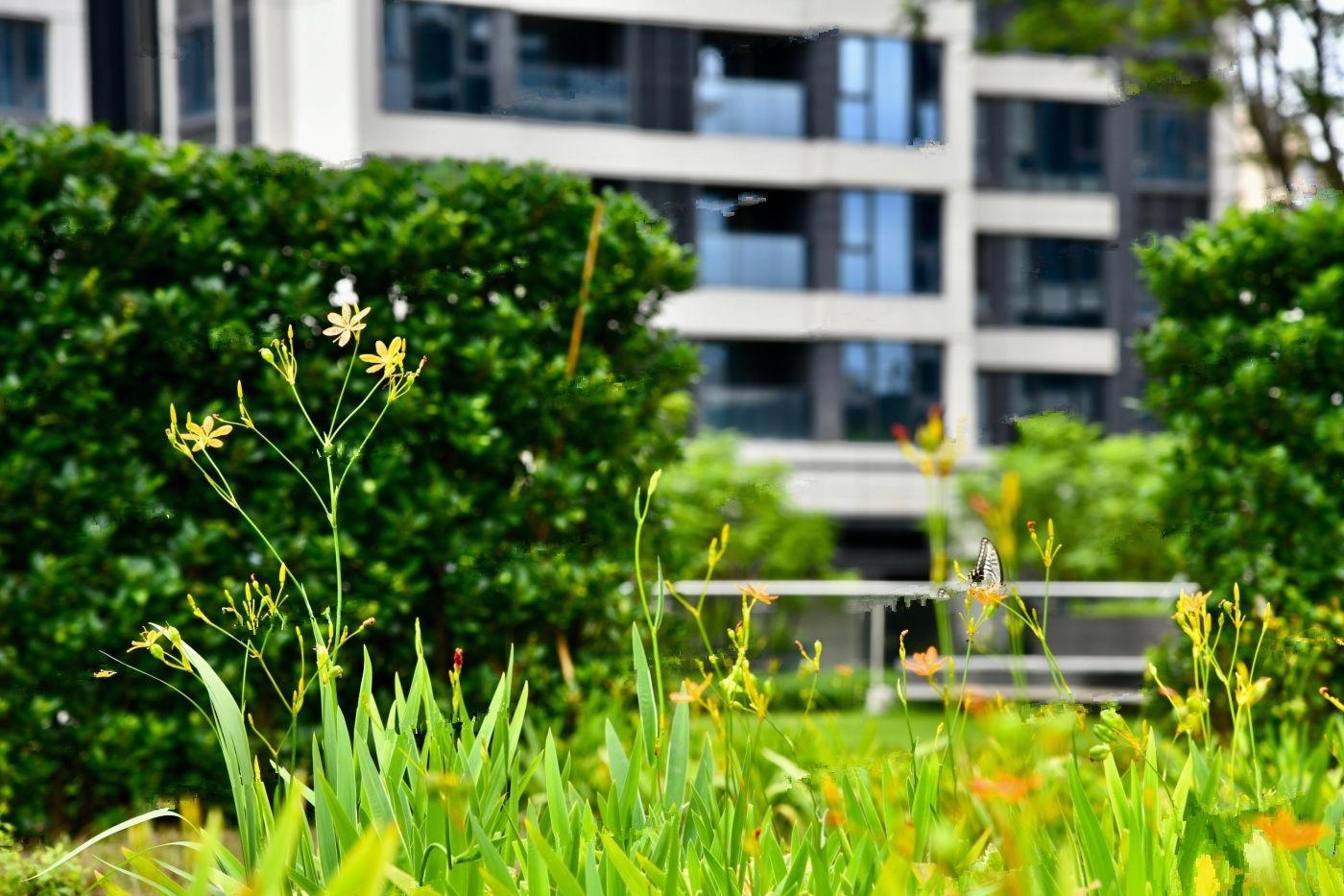 新世界松风明月公寓