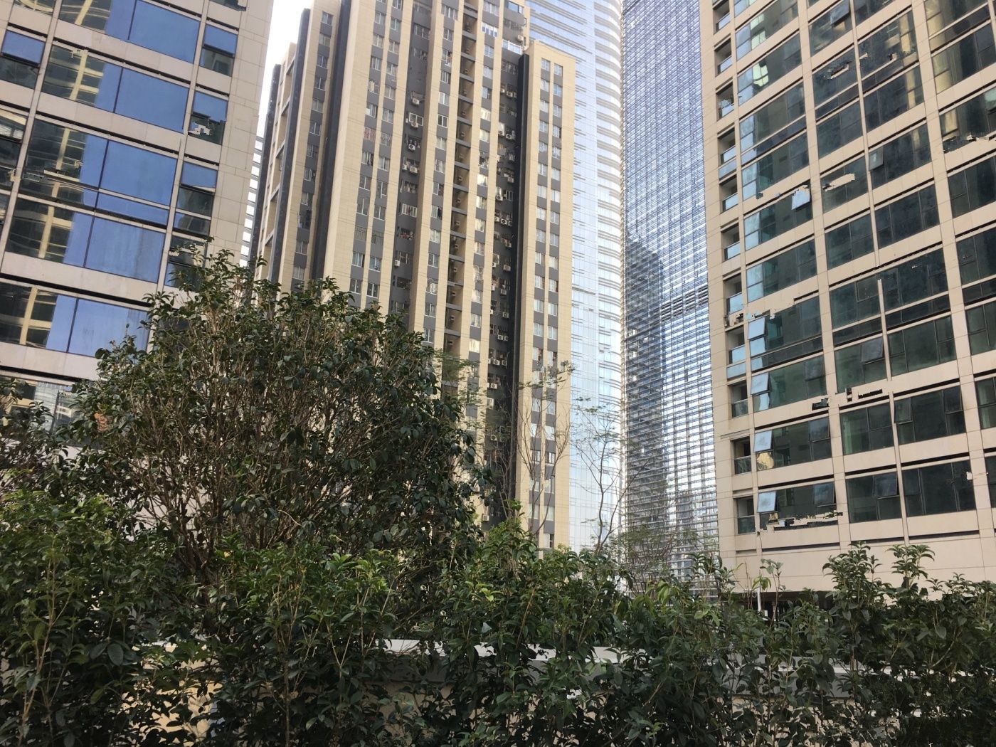 金地环湾城