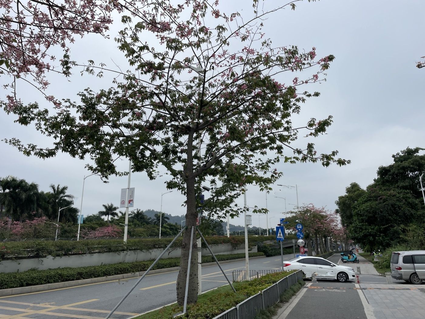 深物业御棠上府