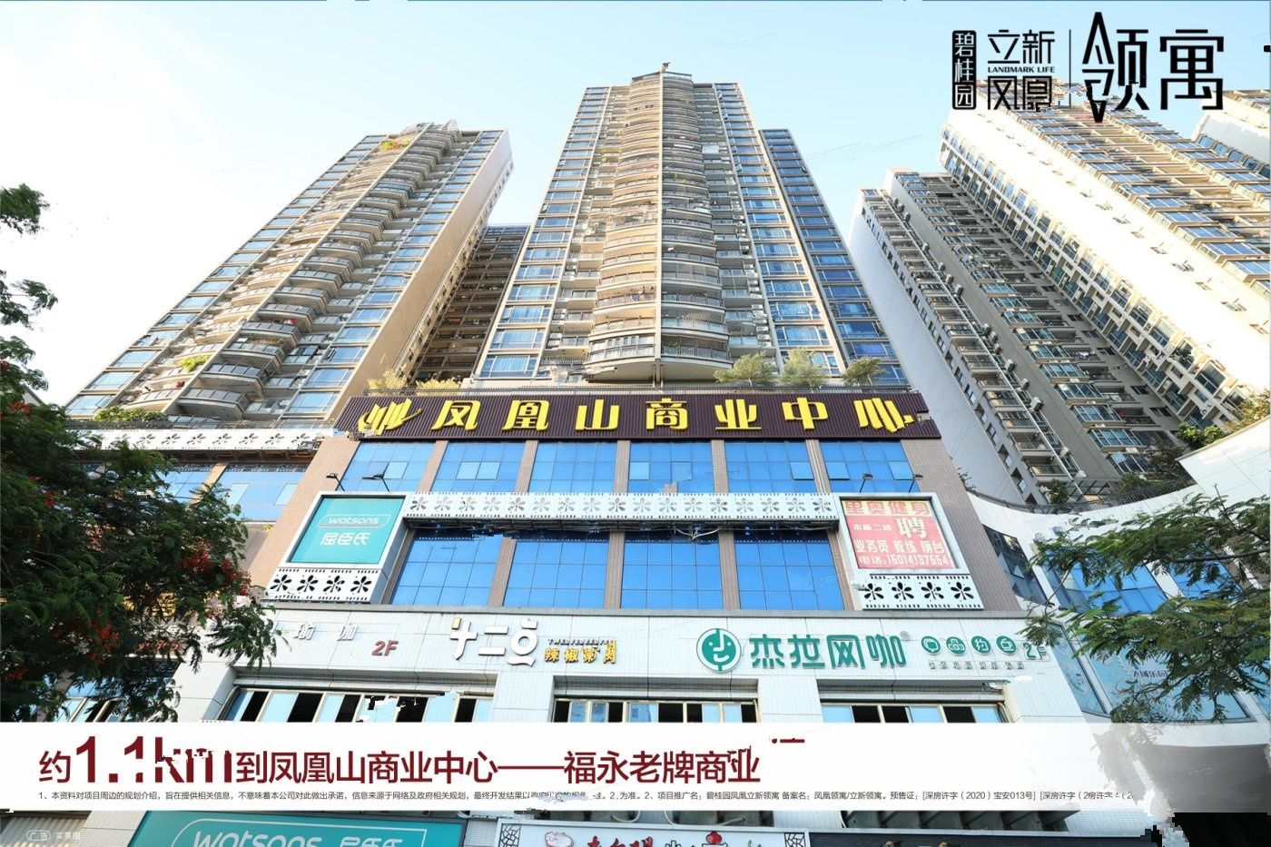 碧桂园凤凰立新领寓