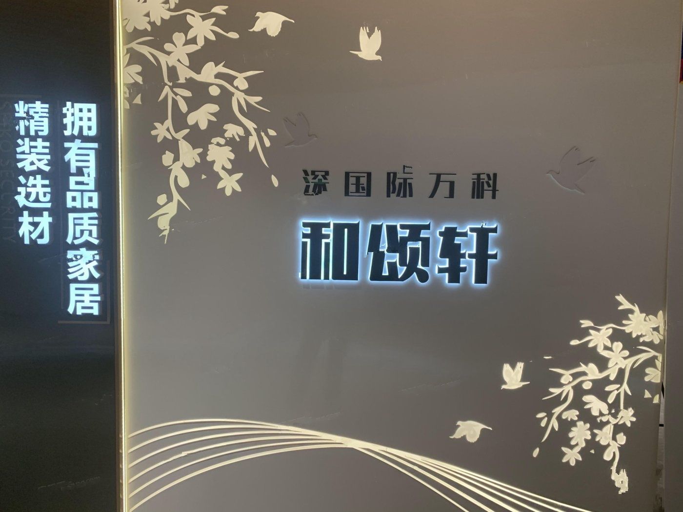 深国际万科和颂轩星空