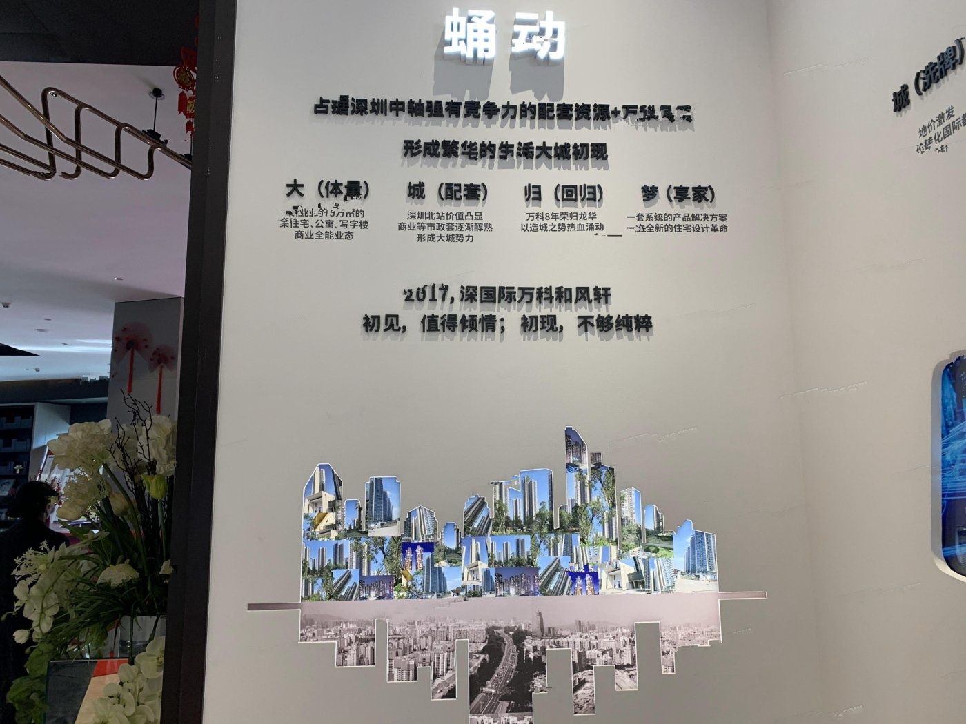 深国际万科和颂轩星空