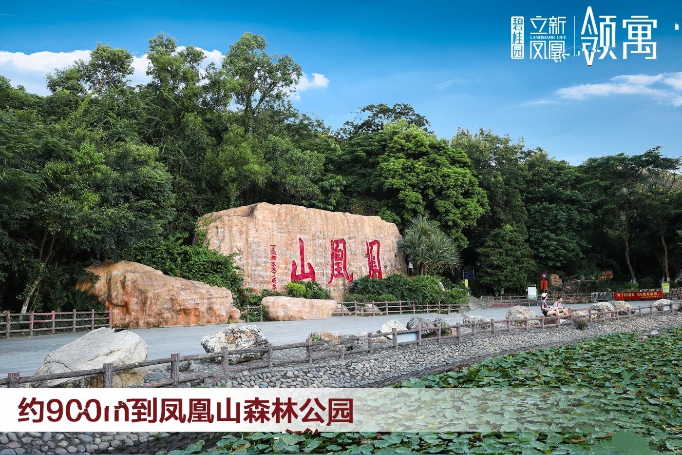 碧桂园凤凰立新领寓