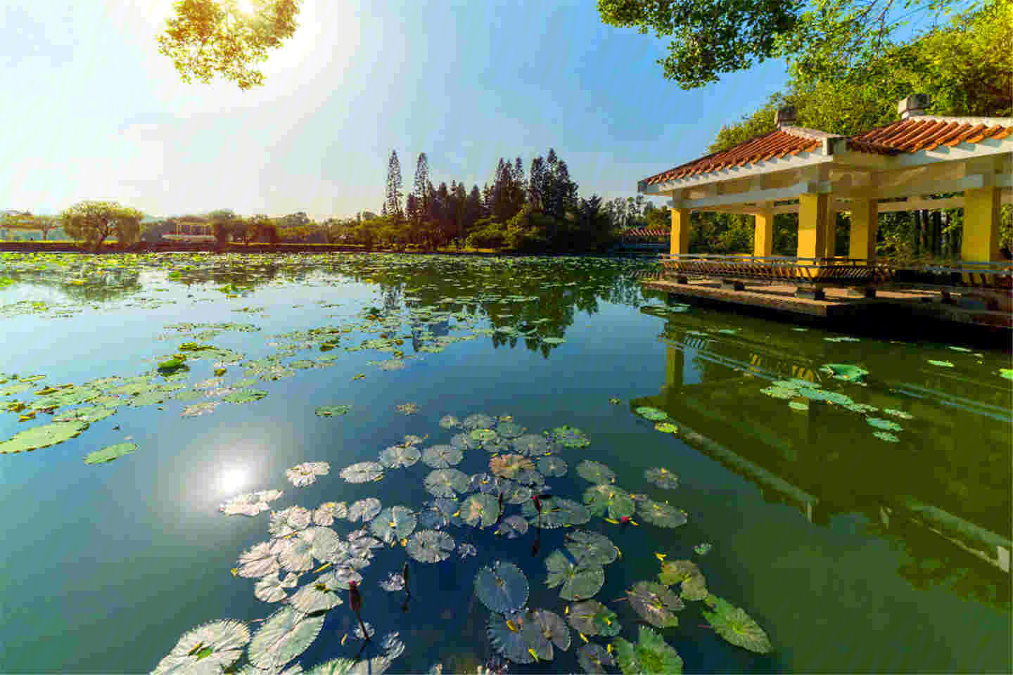 贝悦汇大厦