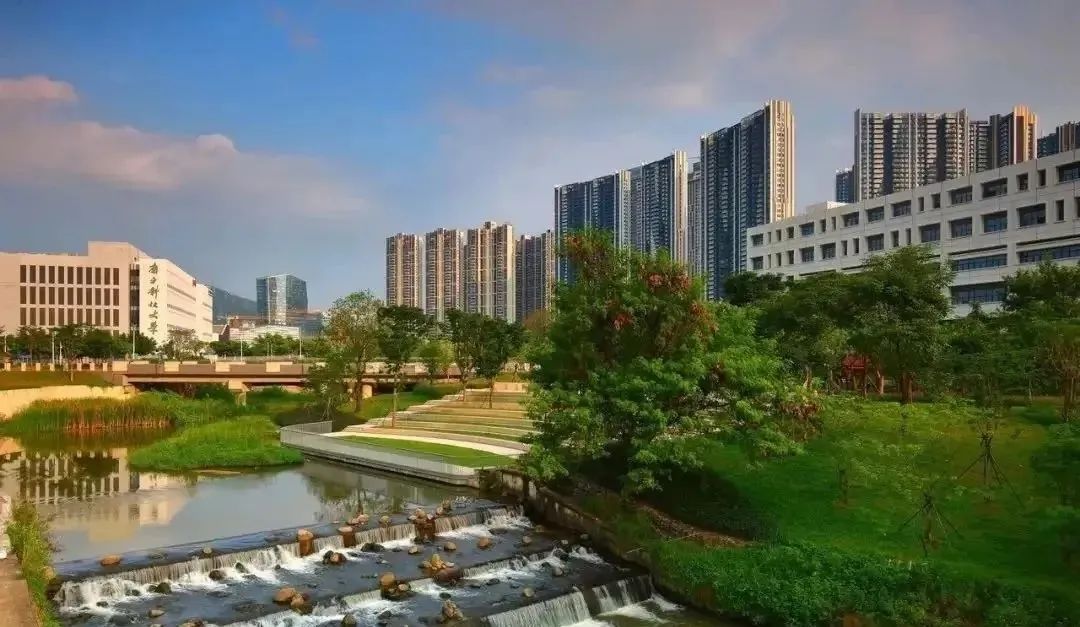 鼎胜金域阳光家园