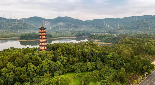 龙光春城玖榕府