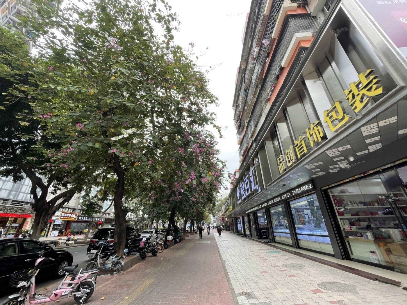 京基水贝洪湖苑