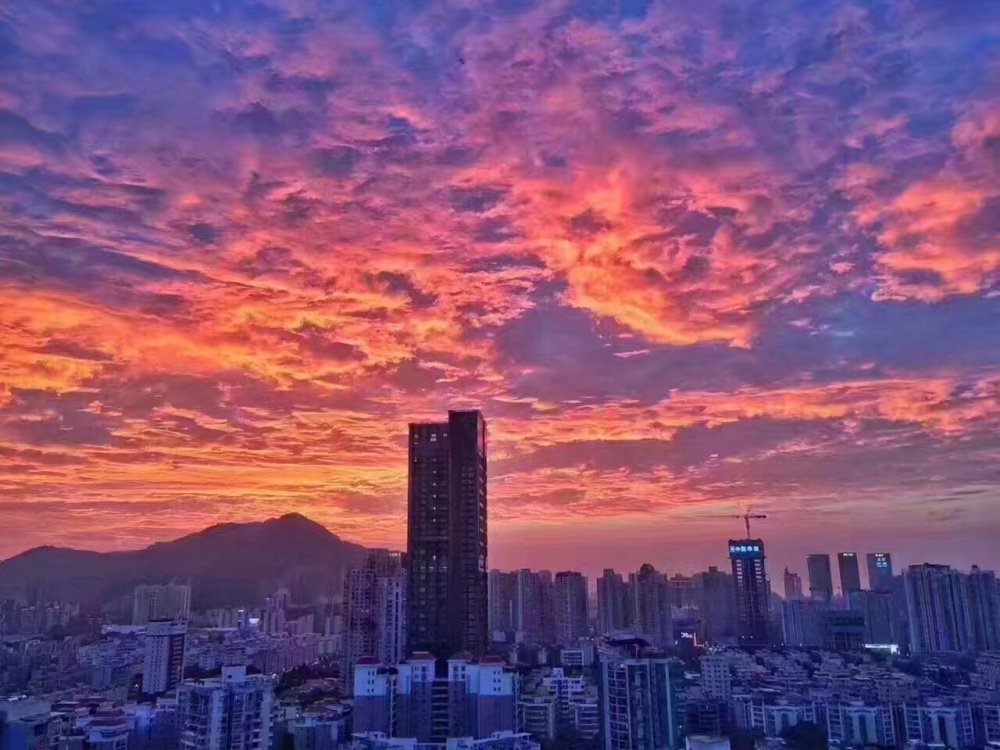 城脉深圳湾公馆