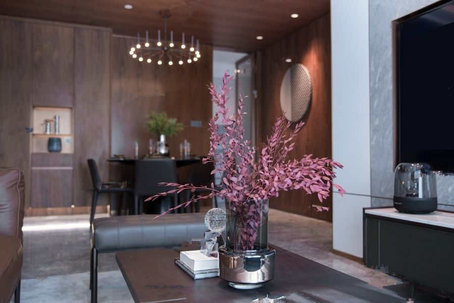 大悦城天玺壹号