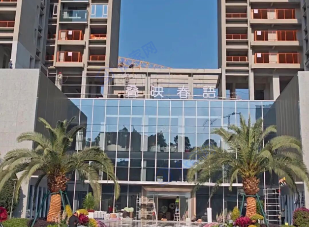 总价250万起能住龙华？98%使用率新规+浙系开发商首秀，是真捡漏还是踩大雷？